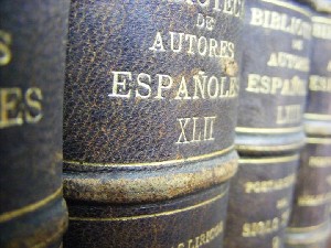 biblioteca 018 copy.jpg